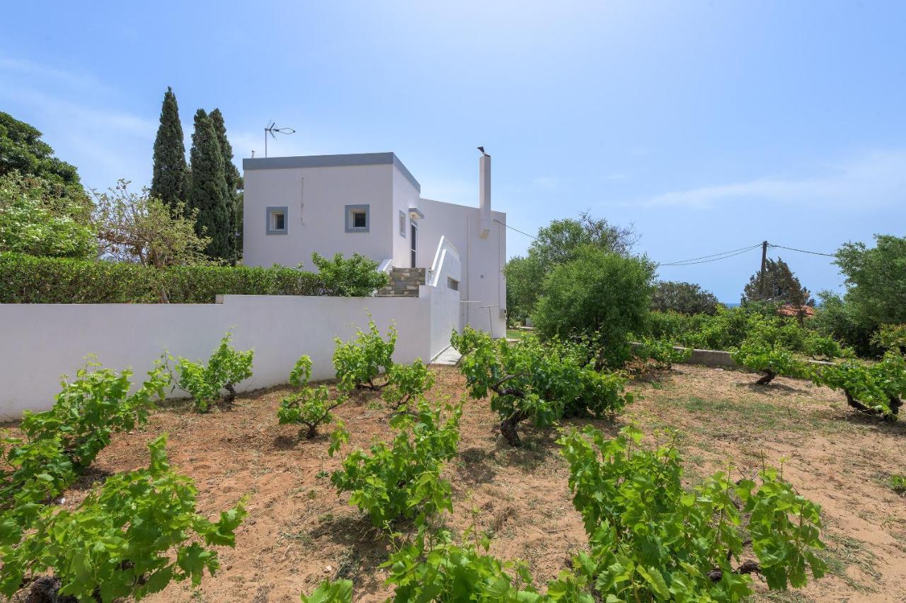 Villa Evelyn Pefki Exteriér fotografie